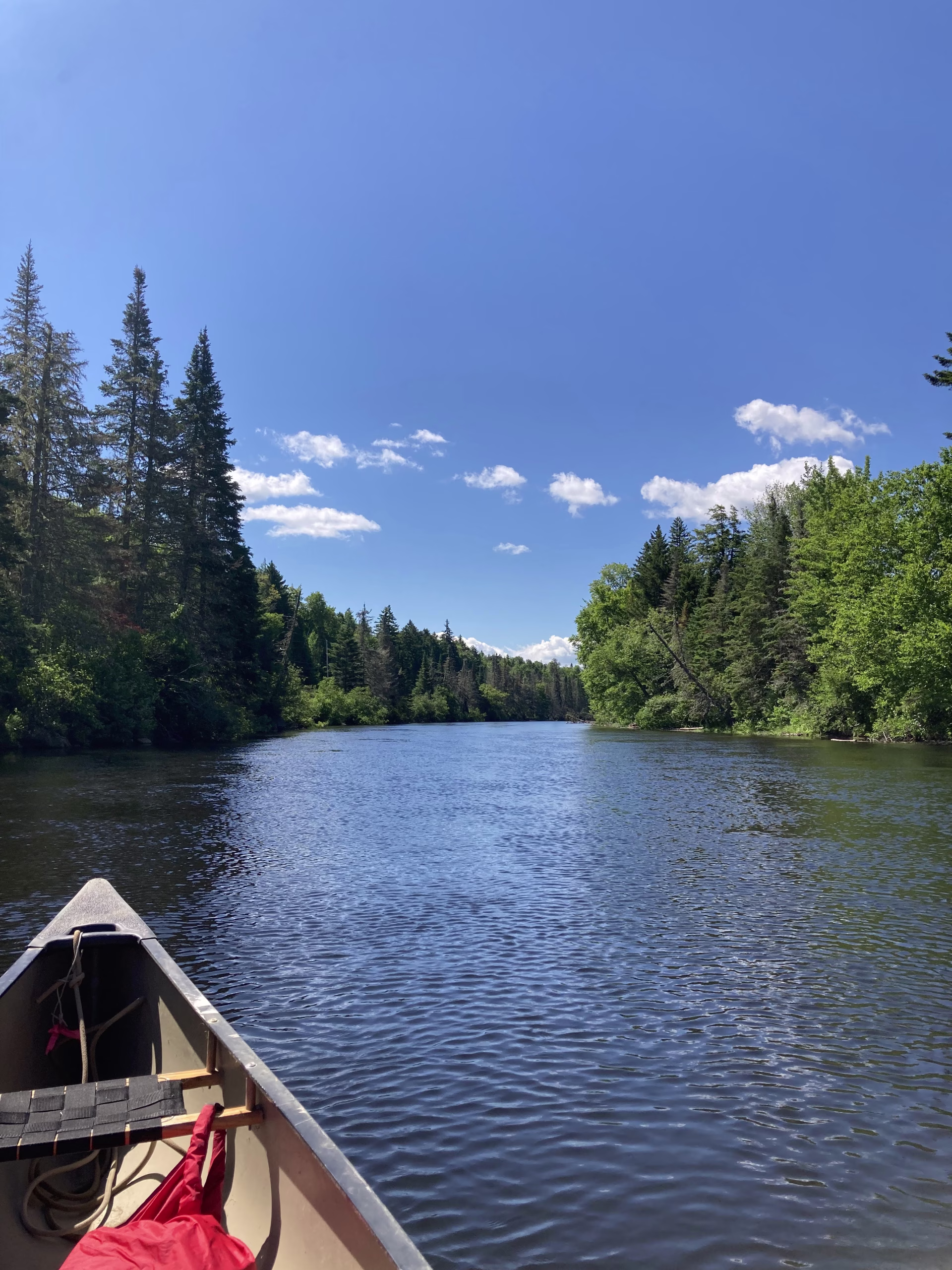 canoe trips